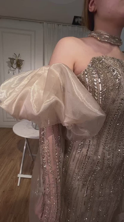 Luxurious embroidered dress with gloves